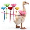 QBleev Duck Harness Nylon Leash Training Pet Supplies-0