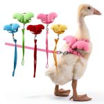 QBleev Duck Harness Nylon Leash Training Pet Supplies-0