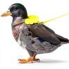 QBleev Duck Harness Nylon Leash Training Pet Supplies-5