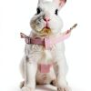 Copfeu Rabbit Harness Leash Nylon Small Pet Outdoor-2