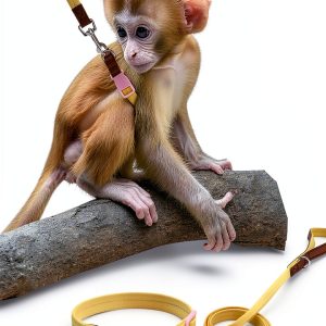 Marmoset Leash SoeKoa Soft Cotton Design Small Pet Safety-0