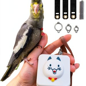 DANGONGLI Bird Leash Retractable Parrot Training Tool 20FT-0