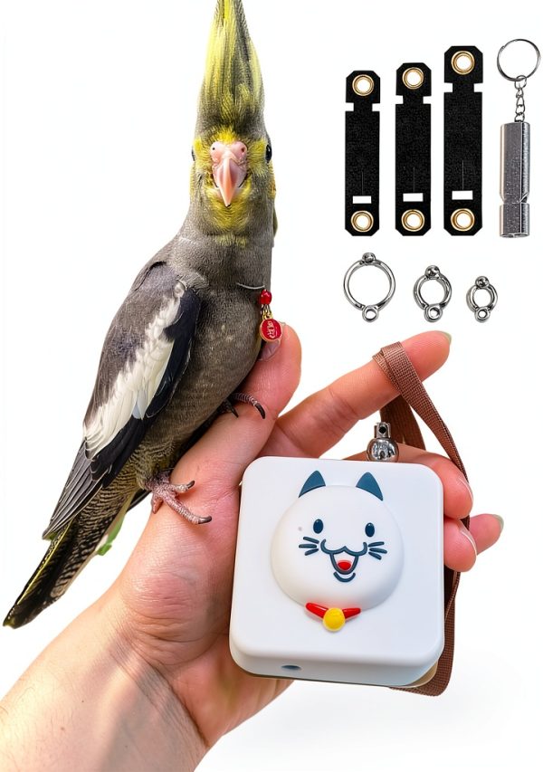 DANGONGLI Bird Leash Retractable Parrot Training Tool 20FT-0