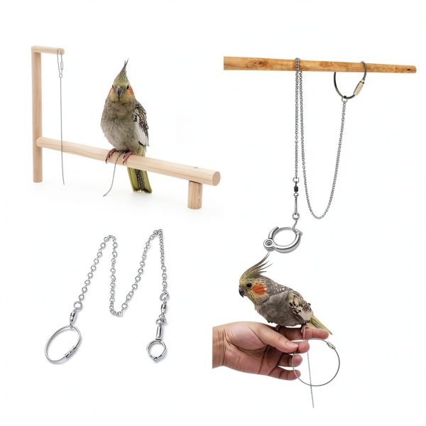 Bird Anklet Ring PERSELOSO Stainless Steel Safe Fit-8