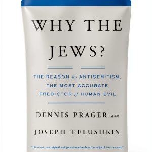 Touchstone Kindle Book Jewish Social Studies History-0