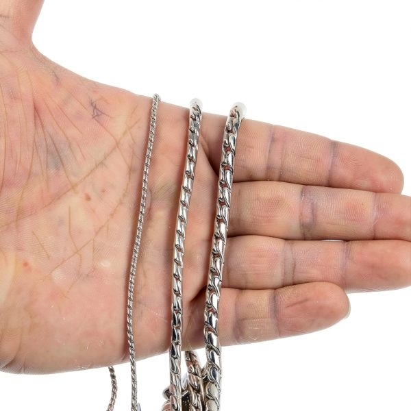 Alipis Stainless Steel Parrot Ankle Chain Anti Off Leash-5