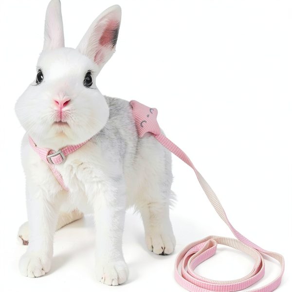 Copfeu Rabbit Harness Leash Nylon Small Pet Outdoor-1