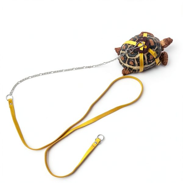 FORZENA Turtle Leash Soft Leather Adjustable Small Pet-1