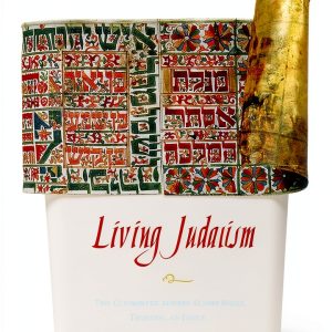 HarperOne Jewish Holidays Kindle Book English Edition-0