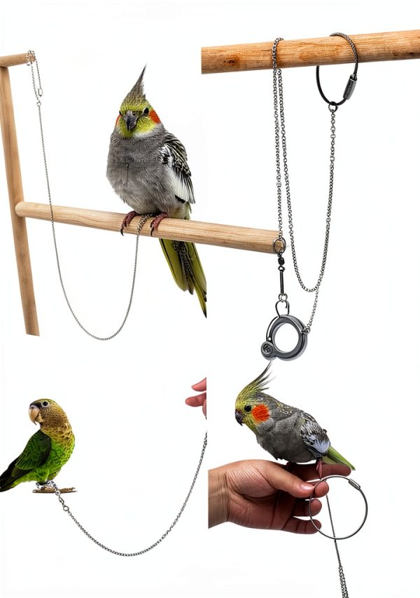 Bird Anklet Ring PERSELOSO Stainless Steel Safe Fit-2