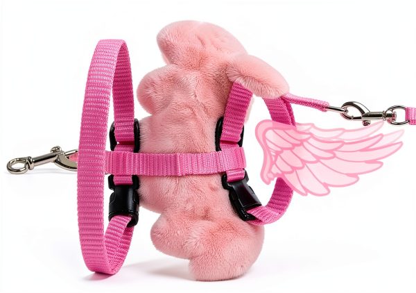 QBleev Duck Harness Nylon Leash Training Pet Supplies-1