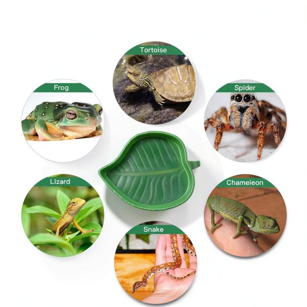 Berlune Turtle Leash Harness Adjustable Reptile Pet Supplies-4