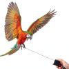 Dansydaisy Bird Leash Auto Retractable Stainless Steel-6