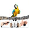 Dansydaisy Bird Leash Auto Retractable Stainless Steel-2