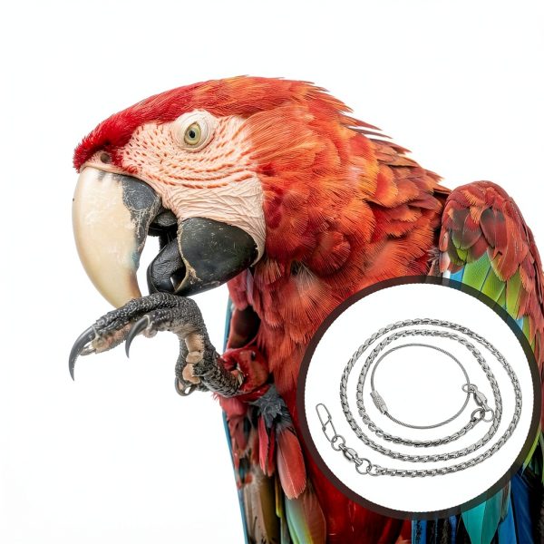 Alipis Parrot Ankle Chain Stainless Steel Anti Off Function-8