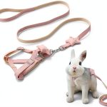 Copfeu Rabbit Harness Leash Nylon Small Pet Outdoor-0