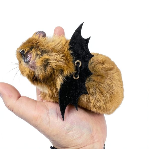 Generic Product Essential Item for Everyday Use Brand-5