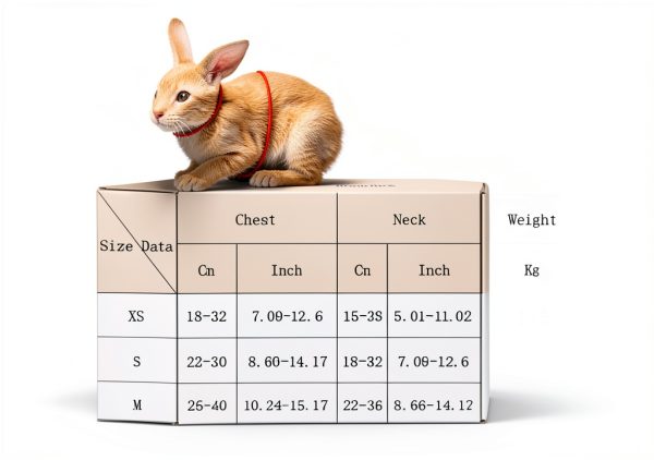 Generic Product Essential Item for Everyday Use Brand-1