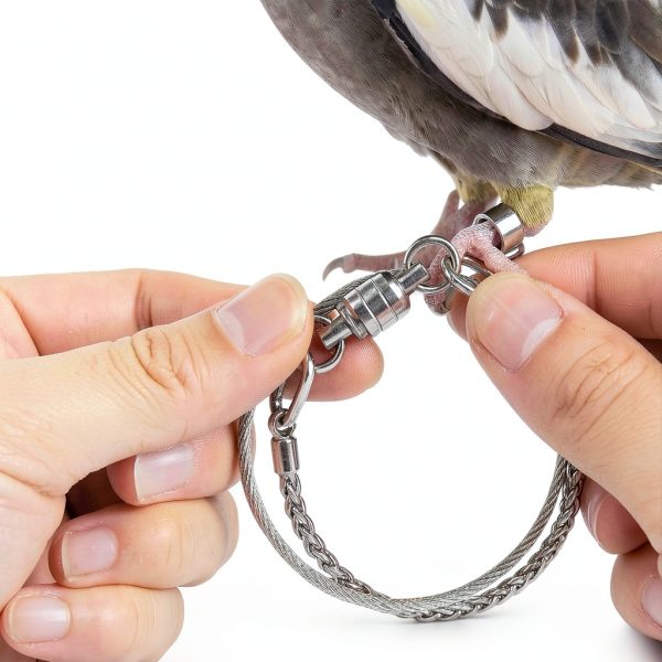 Alipis Stainless Steel Parrot Ankle Chain Anti Off Leash-0