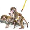 Marmoset Leash SoeKoa Soft Cotton Design Small Pet Safety-6