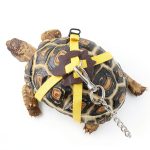 FORZENA Turtle Leash Soft Leather Adjustable Small Pet-0
