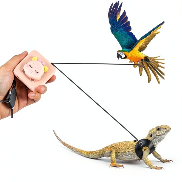 DANGONGLI Bird Leash Retractable Parrot Training Tool 20FT-4