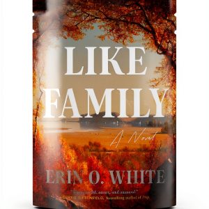 LGBTQ Family Fiction Kindle by The Dial Press-0