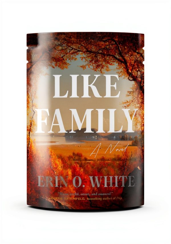 LGBTQ Family Fiction Kindle by The Dial Press-0